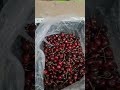 ягода черешня спелая магнит тюмень ягода черешня спелая магнит тюмень