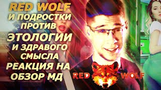 Как RedWolf и подростки променяли знания на ништяки дяди Сэма..