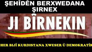 Şehid ✌namirin ✌karker ameddd