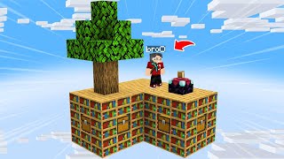 100 GÜN BOYUNCA SKYBLOCK KAÇIŞ #GÜN 24  MİNECRAFT