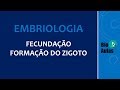 Fecundação: Formação do Zigoto (Embriologia Humana) - Bio Aulas