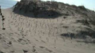 1-14-10 Fishing, Beach, and Weather Conditions - Betty and Nicks.MOD