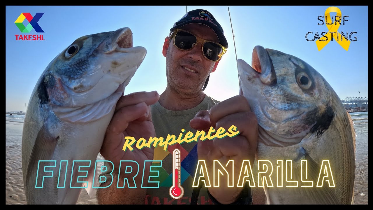 DORADAS a SURF CASTING . ( FIEBRE AMARILLA )🤒.