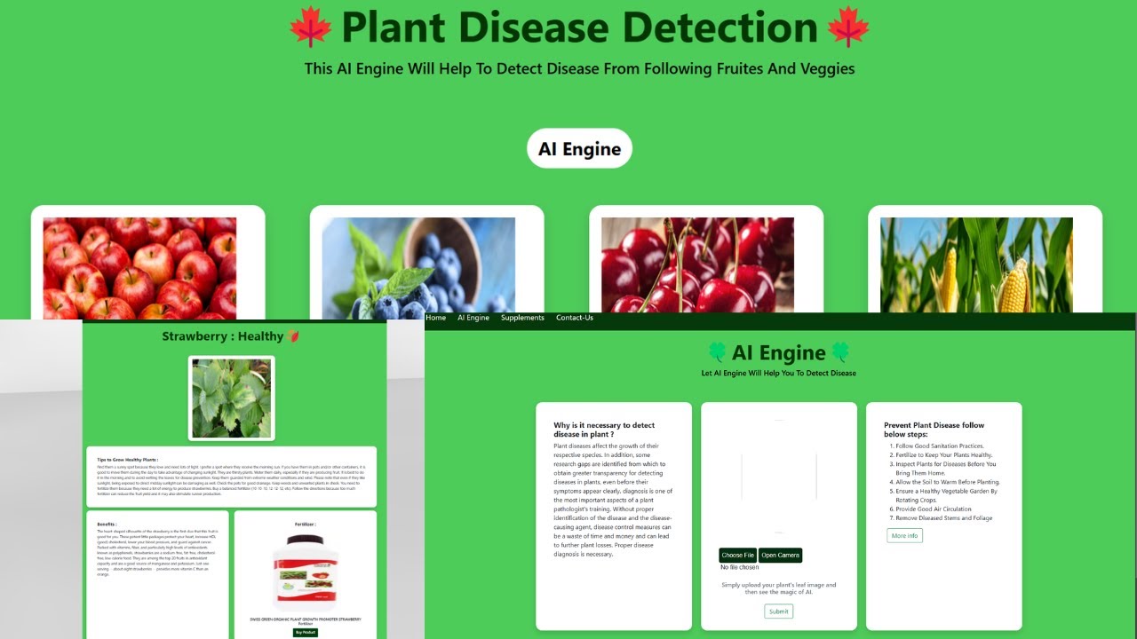 🌿 AI-Powered Plant Disease Detection | Deep Learning & Machine Learning ...