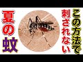 【もう刺されない!?】現役農家が使う蚊が寄って来なくなる最強アイテム