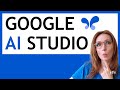 Is This the Death of Tutorials?  Testing out Google AI Studio/Gemini 2.0