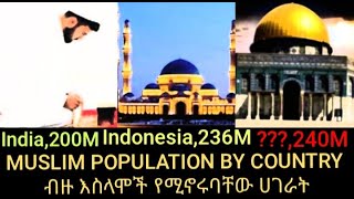 The Rise of the Muslim Population: Shocking Statistics by Country