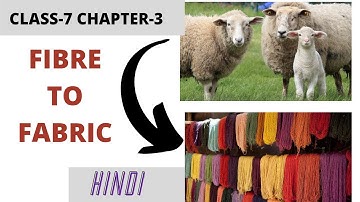 Fibre to Fabric Class 7 | Science | Chapter 3 | Animal Fibres | Production of Wool From Sheep |Hindi
