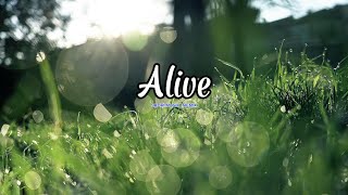 Dj Slow!!! Sadri Musik - Alive (Slow Remix)