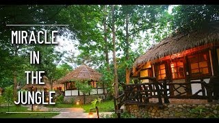 River kwai resotel resort -- thailand's jungle in kanchanaburi
'miracle amidst the jungle' visit - https://www.riverkwairesotel.net/
kw...