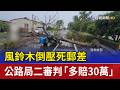 風鈴木倒壓死郵差 公路局二審判「多賠30萬」