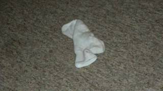 Sock crawling across the floor
