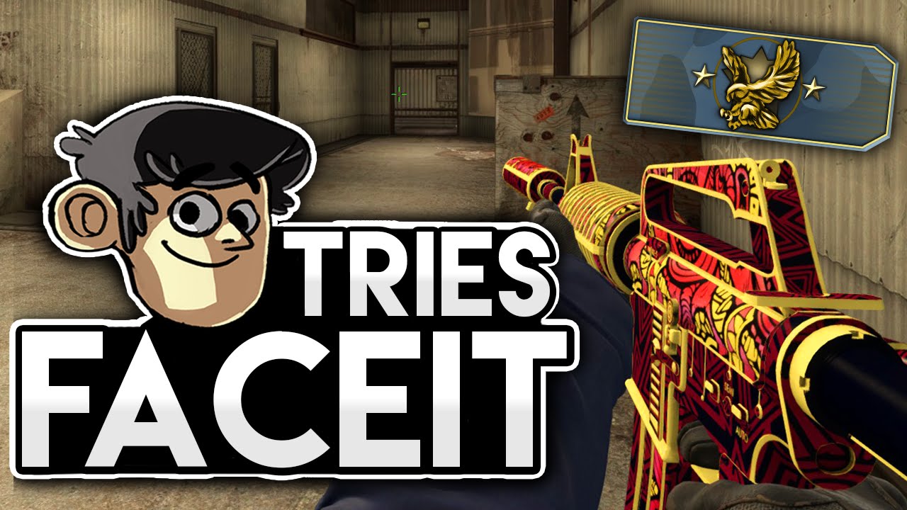 Alaawii tries Faceit! | CS:GO Highlights & Funny Moments