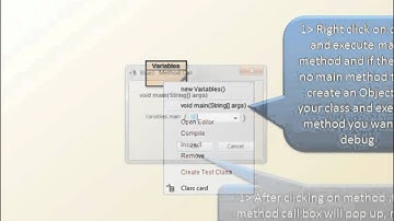 How to use Debugger in BLUEJ