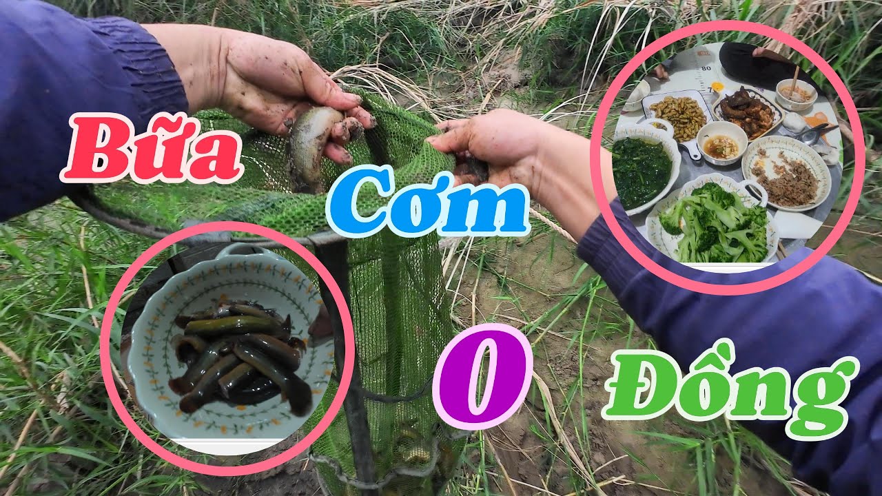 Món ngon ăn là hết/Nguyễn Ngân TV