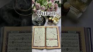 💕Quran Translation💕|| Islamic WhatsApp Status || 🍃Quran Tarjuma🤗 #quran #trjuma #shorts