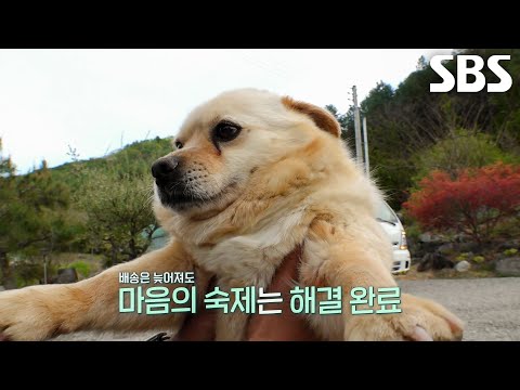설이, 든든한 지원군 덕에 <strong>민원</strong> 해결되고 만끽하는 행복♥