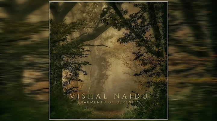 Vishal Naidu - Fragments Of Serenity (Full Album P...