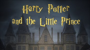 NEW HARRY POTTER BOOK BUT IT