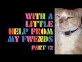 The Flaming Lips - With A Little Help From My Fwends - Part 12