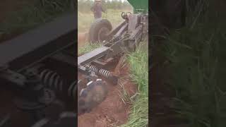 Subsolador Florestal