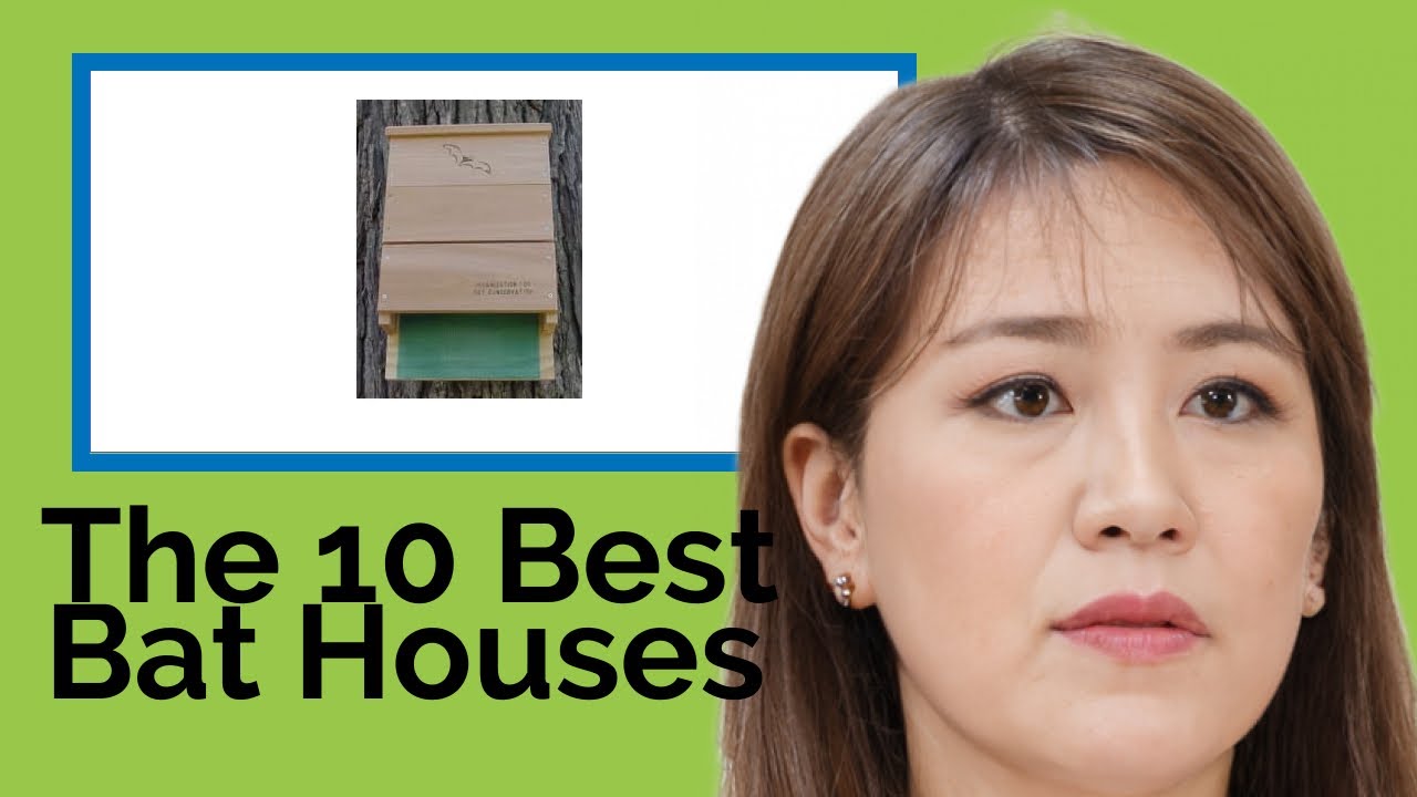 👉 The 10 Best Bat Houses 2020  (Review Guide)