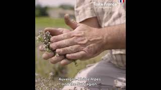 EVERYTHING YOU HAVE TO KNOW ABOUT HERBES DE PROVENCE