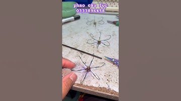 lưỡi câu lục bềnh móng rồng 7 chuyên trị những con chép  nhát chép siêu cũ 120k/c