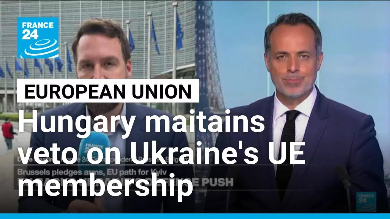 Hungary maintains veto on Ukraine’s EU membership bid after referendum • FRANCE 24 English