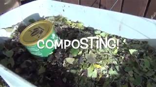 Quick Fall Compost Bin (Leaves and Coffee)