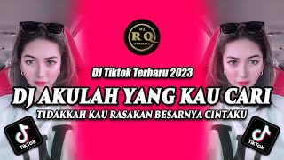 DJ AKULAH YANG KAU CARI - DJ TIKTOK TERBARU 2023 - DJ TIDAKKAH KAU RASAKAN BESARNYA CINTAKU