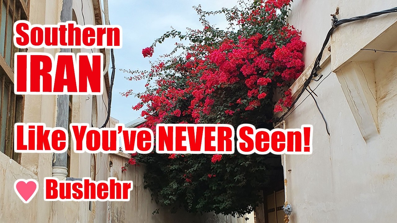 The REAL IRAN  Exploring Bushehr’s Coastal Beauty in Southern Iran& Abpakhsh Palm Forest 🌴