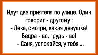🤡Как Два Приятеля Девушку Красивую Увидели! Сборник Смешных Анекдотов! Юмор! Позитив!
