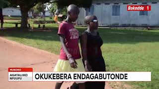 Agataliikonfuufu Okukebera Endagabutonde,Alizaati Za Baana 11 Zifulumye