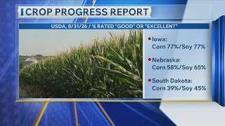 Crop Progress Report Update - 9/1/2026