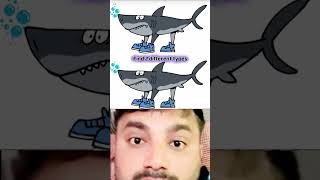 find 2 different types in this image #ytshorts #viral #eyetest #eyes #viralshorts #video