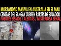 Alerta: Anomalía en Mar de Australia  / Volcán Sangay / Misteriosa Señal / Reporte y Alerta Sísmica