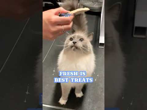 Trash The Ingredients List: 100% PURE Organ Treats for Cats