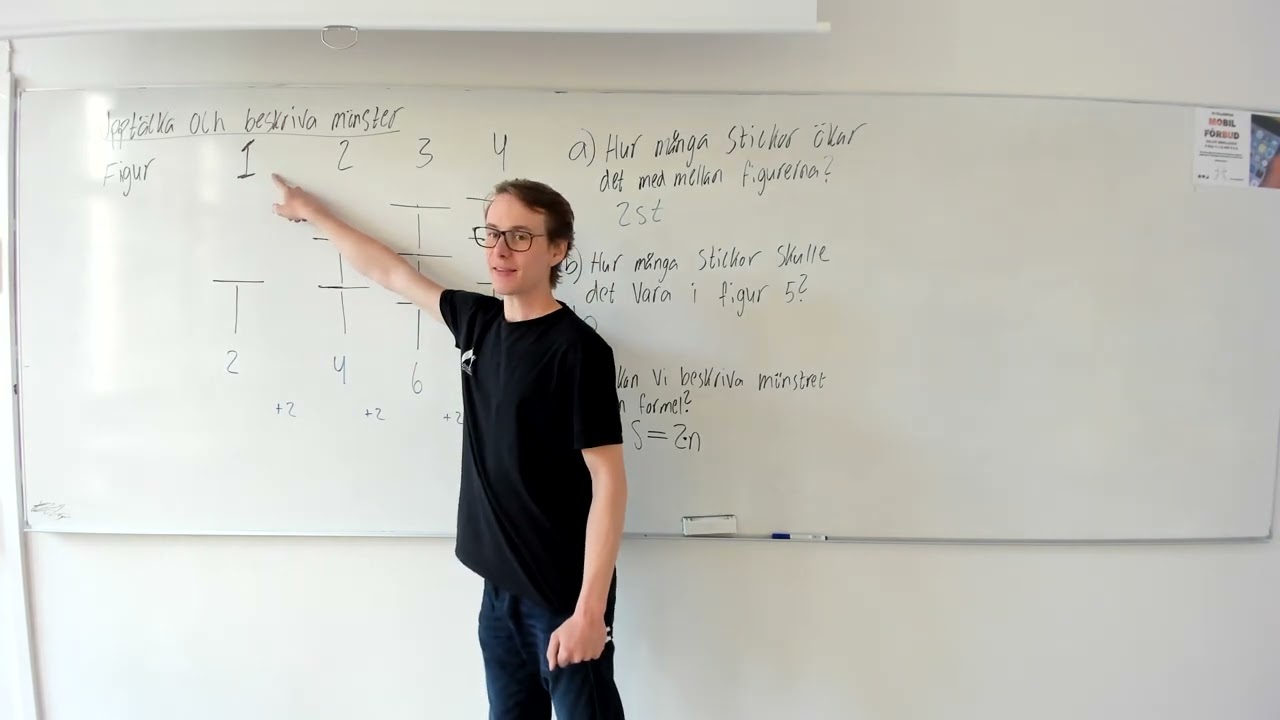 Upptäcka och beskriva mönster