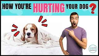 Don't IGNORE ❌these 5 important tips in your dog care. It can save your dog from health Issues