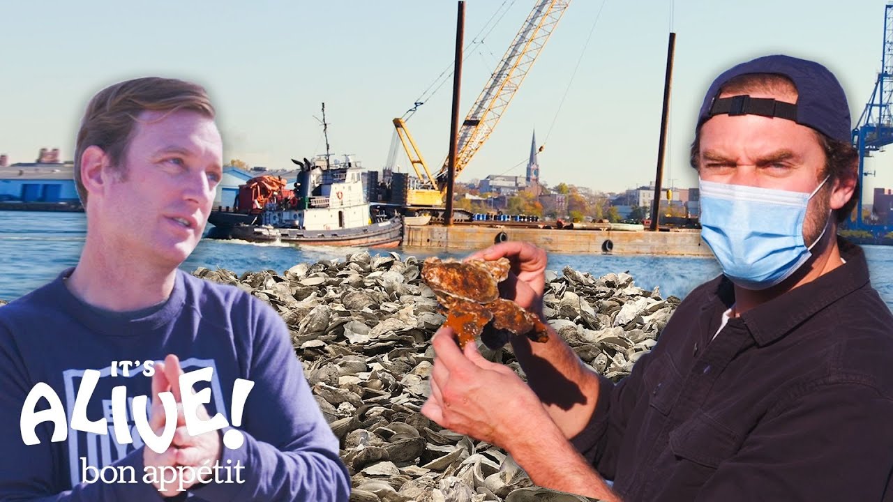 Brad Restores Oyster Reefs   It