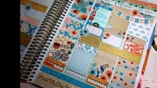 Plan With Me in my Erin Condren November 8-15, 2015
