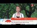 Michael Soul Добрай ранiцы Беларусь Читаем стихи на Беларусь 1