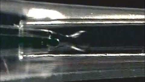 Double Emulsion Formation in a Multibarrel Microfluidic Droplet Generator