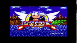 (SIZURE WARNING) SONIC THE HEGHEHOG AND SEGA GOT TOO CRAZY