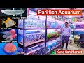 Kurla fish Market, Pari Aquarium // Flowerhorn, Arowana fish, Discus fish, Mono angel 🐡🐟🐠