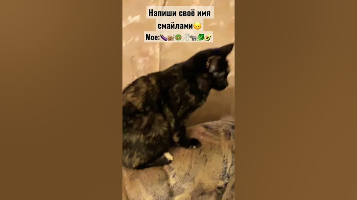 Угадали?🙃 #коты #котыприколы #кошка #котенок #тренды #котики #тикток #шортс #ютуб #shorts #бусинка