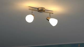 Philips Essentials Burlap wall/ceiling spot lamp 2xE14 IP20