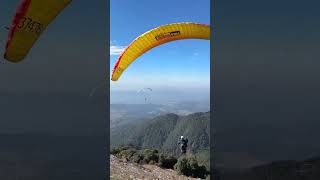 paragliding Bir Billing #birbilling #paragliding #shortvideo #fypシ #travel #peaceful #mountains