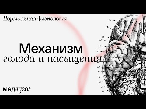 Видео: Имеет точку насыщения?